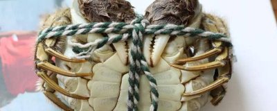 ​钓螃蟹的钩怎么用教学视频 自制钓螃蟹钩教程视频