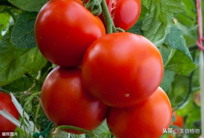 ​西红柿怎么保存时间长一点？多加一步，新鲜美味，放一年都不会坏