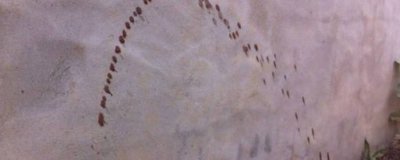 ​墙上血迹去除的最好方法是什么 如何去除墙上的血迹