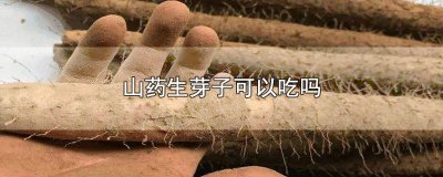 ​山药出芽子可以吃吗 山药子发芽了能吃吗