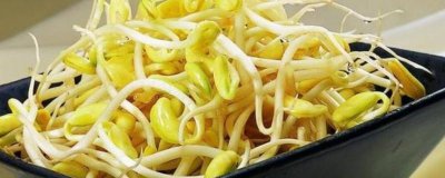 ​生豆芽长根了能吃吗 自己生的豆芽生根了能吃吗