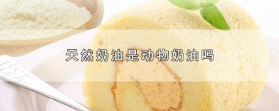​纯天然奶油是动物奶油吗 稀奶油到底是动物奶油还是植物奶油