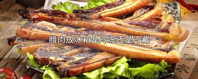 ​腊肉放冰箱是冷冻还是冷藏保存 腊肉存放冷藏还是冷冻