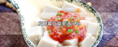 ​霉豆腐可以放冰箱发酵吗 霉豆腐发酵条件