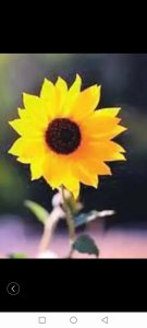 ​人人都说，做人难