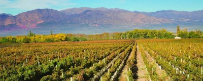 ​高海拔地区需要注意什么事项 海拔高要注意些什么