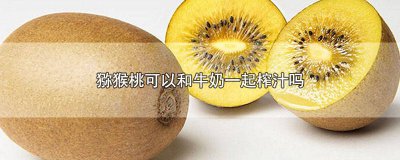 ​猕猴桃可以和牛奶一起榨汁吗孕妇 猕猴桃可以和牛奶一起榨汁吗早餐