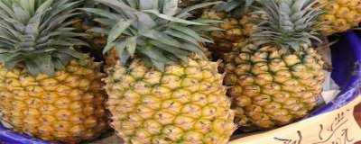 ​凤梨食谱大全 凤梨有几种吃法