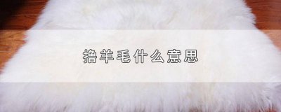 ​撸羊毛什么意思