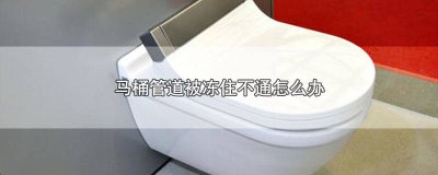 ​马桶堵住了通不了怎么办 马桶堵了怎么也通不开怎么办