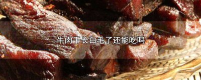 ​牛肉干长白毛了还能吃吗? 牛肉干长白毛了还能吃吗图片