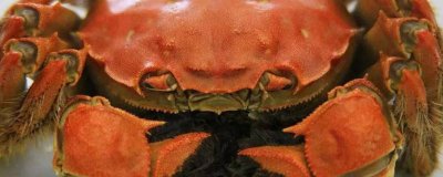 ​螃蟹跟香菇可以一起吃吗 螃蟹可以跟香菇一起吃吗?