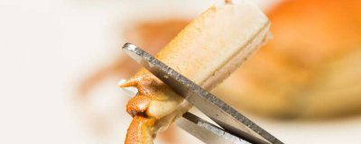 ​螃蟹能否与萝卜一起吃 螃蟹能不能与萝卜一起吃