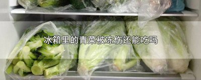 ​青菜放冰箱被冻了能吃吗 青菜被冷冻了还能吃吗