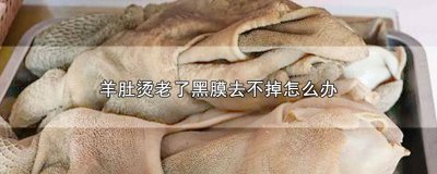 ​羊肚子烫过了,黑色绒毛去不掉怎么办呀 羊肚烫过头了怎样洗掉黑色绒毛