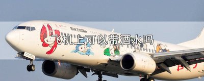 ​飞机上可以带酒水吗多少毫升 坐飞机可以带酒水吗