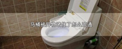​马桶被异物堵塞了怎么办 马桶有异物堵住怎么办