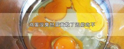 ​鸡蛋没臭但蛋黄散了还能吃不 鸡蛋黄散了但是没臭还能吃吗