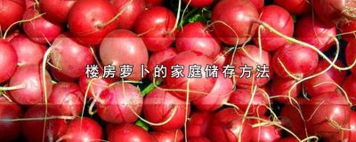 ​家庭怎样储存萝卜种子 萝卜怎样存萝卜存储方法