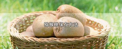 ​猕猴桃如何保存 猕猴桃保存的方法有哪些