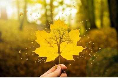 ​中专升大专的女生可以当兵吗 中专升大专的条件