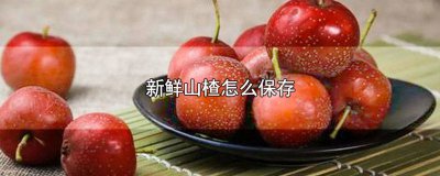 ​新鲜山楂怎么保存方法视频 新鲜山楂怎么保存方法最好
