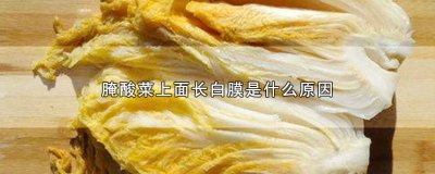 ​腌酸菜水上面有一层白膜是怎么回事 酸白菜腌制中起了白膜