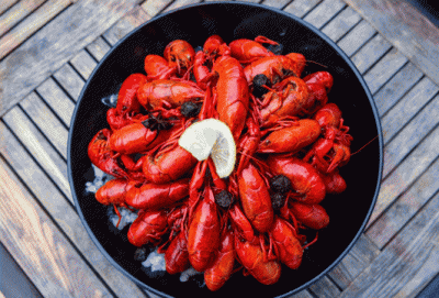 ​小龙虾学名叫什么（小龙虾别名叫什么）