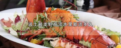 ​养波士顿龙虾的水温是多少 养波士顿龙虾温度盐度