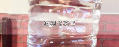 ​医用酒精怕冻吗 酒精怕冻么