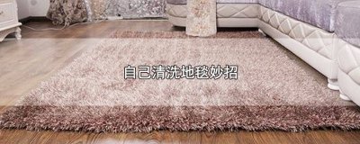 ​自己如何清洗地毯 地毯清洗小妙招超省事省心
