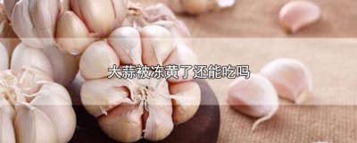 ​大蒜被冻黄了还能吃吗 大蒜被冻黄了还能吃吗有毒吗
