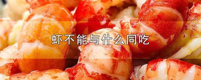 ​虾类不能和什么同吃 虾和什么不能同吃吗
