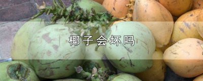 ​怎么看椰子有没有坏 如何判断椰子是不是坏了