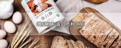 ​增肌粉跟蛋白粉有什么区别 增肌粉跟蛋白粉什么区别