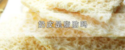​脂肪奶是什么意思 脂肪乳是奶吗