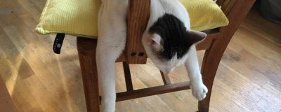 ​扒扒扒什么意思 扒的意思和解释