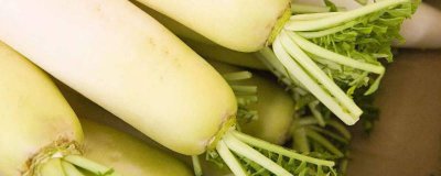 ​白萝卜能和什么一起炖汤好喝 白萝卜能和什么一起炖汤好