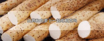 ​白萝卜能与山药一起吃吗 山药与白萝卜能一起吃吗