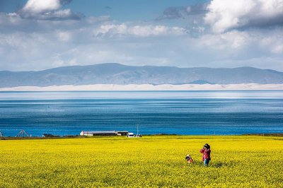 ​青海鸟岛在什么地方（青海湖鸟岛攻略，鸟岛门票）