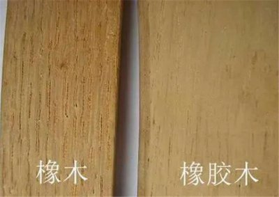 ​怎么区分橡木和橡胶木？