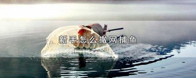​新手怎么撒网捕鱼 用法 新手怎么撒网捕鱼 百度网盘