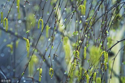 ​春夜喜雨唐杜甫杜甫 唐·杜甫《春夜喜雨》