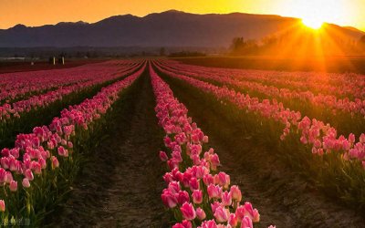 ​陷入“孤境”，不要忘了这4个“通道”