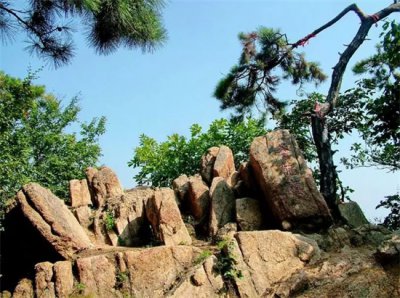 ​沈阳自助游(沈阳自助游攻略)