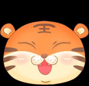 ​鹰嘴龟(平胸龟是国家二级保护动物)