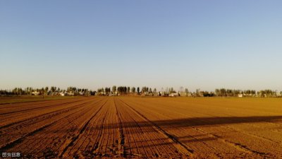 ​亩和公顷怎么转换？这个方法帮你快速换算！