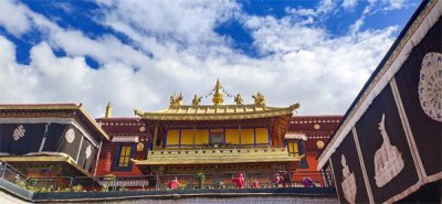 ​直接坐飞机去拉萨会不会高反（坐飞机到拉萨真的无法适应高反吗）