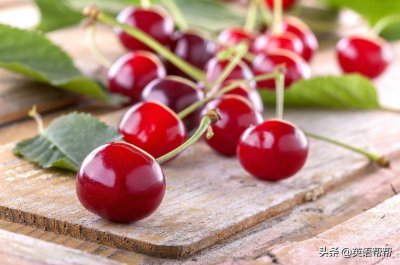 ​动物和植物的英语单词 动植物英语单词大全