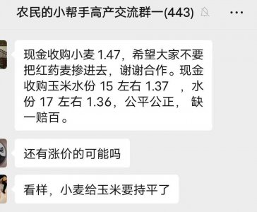 ​现在小麦多少钱一斤玉米多少钱一斤 小麦、玉米价格